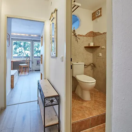 Apartment Milly Saalbach-Hinterglemm